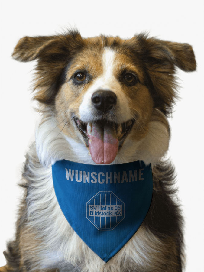 Hundehalstuch