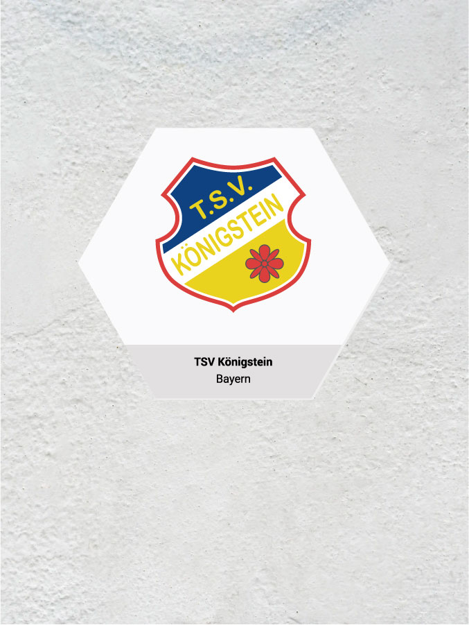Wandkachel Hexagon mit Logo