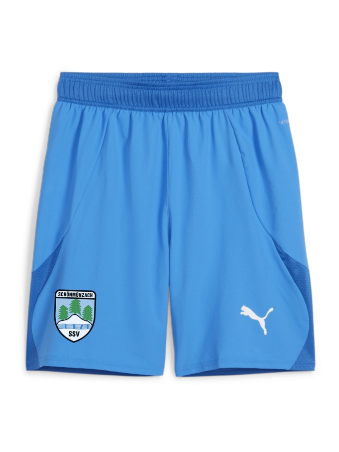 PUMA teamFINAL Shorts