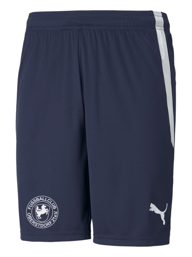 PUMA teamLIGA Shorts