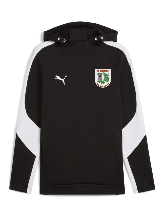 PUMA teamEVOSTRIPE Hoody