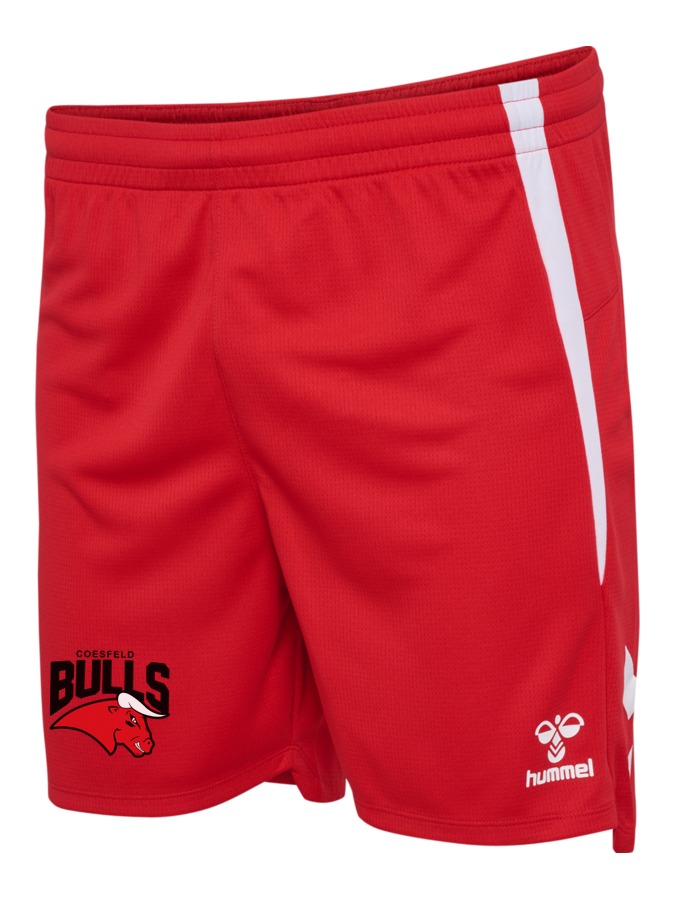 Hummel Lead 2.0 Shorts