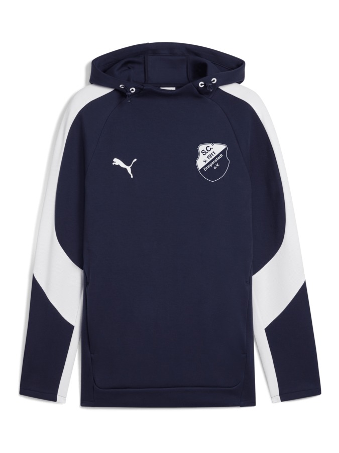 PUMA teamEVOSTRIPE Hoody
