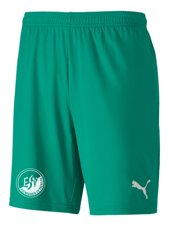 PUMA teamGOAL 23 Knit Shorts
