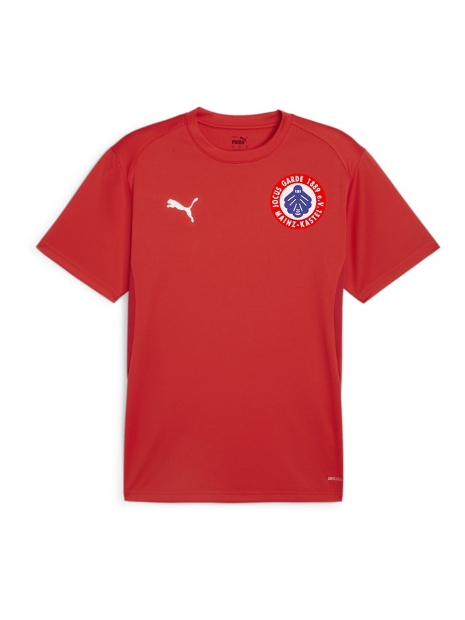 PUMA teamGOAL Trikot