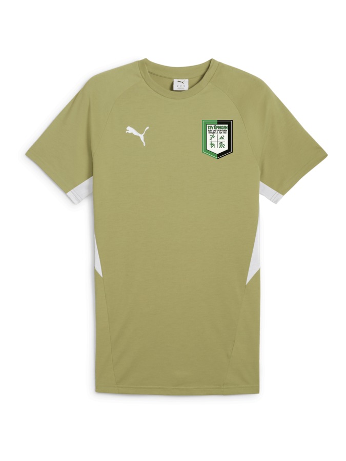 PUMA teamEVOSTRIPE T-Shirt