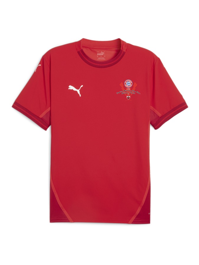 PUMA teamFINAL Trikot