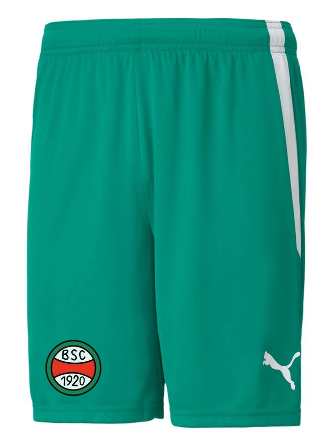 PUMA teamLIGA Shorts