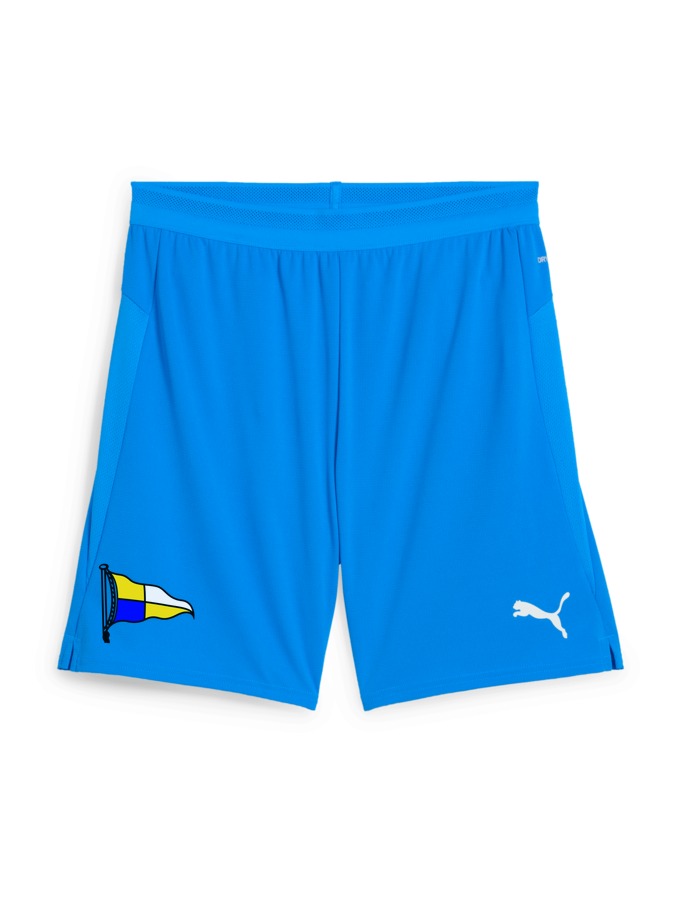 PUMA teamCUP Shorts