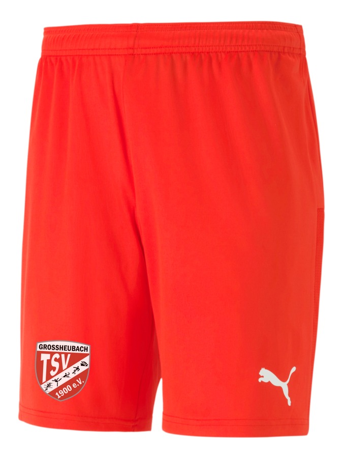 PUMA teamGOAL 23 Knit Shorts