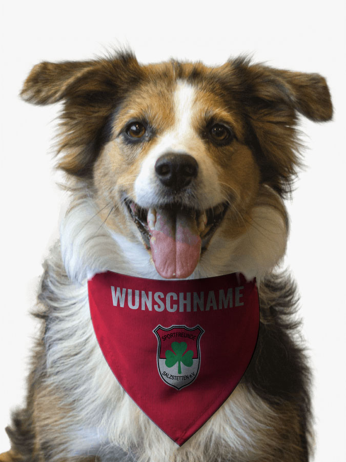 Hundehalstuch