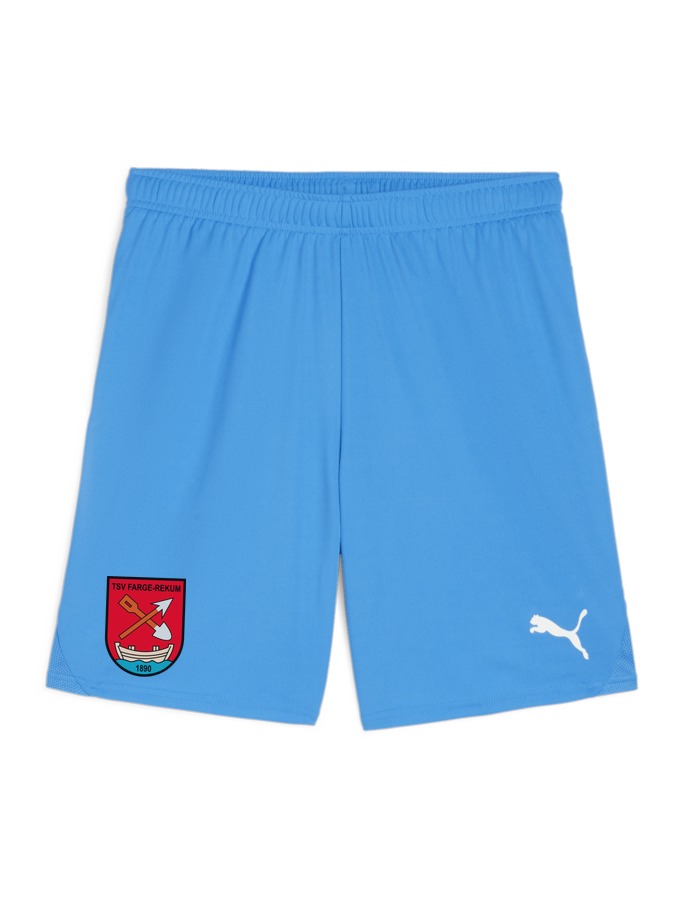 PUMA teamGOAL Shorts