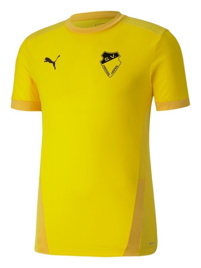 PUMA teamGOAL 23 Trikot