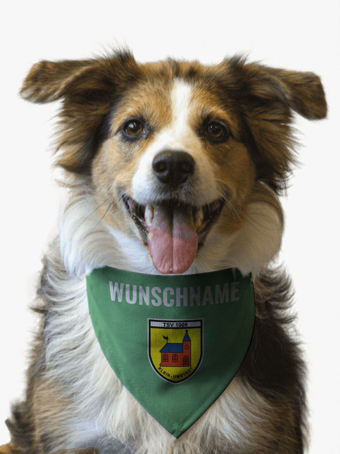 Hundehalstuch