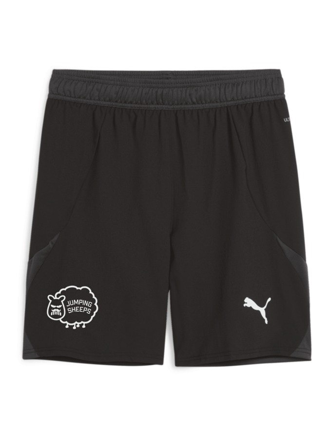 PUMA teamFINAL Shorts