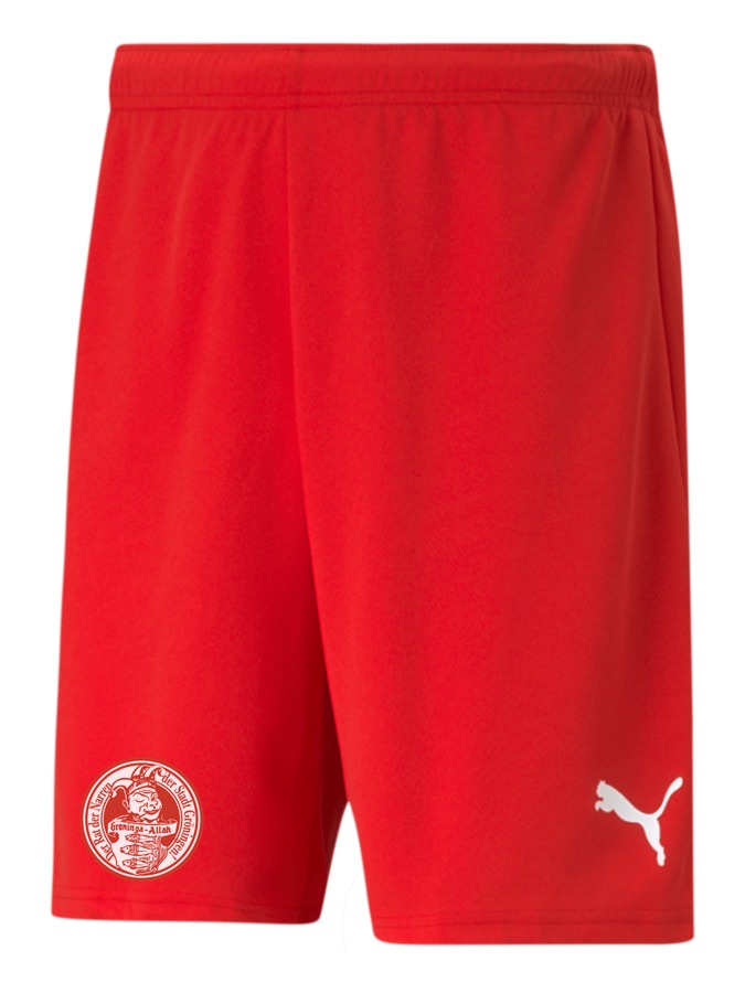 PUMA teamRISE Short