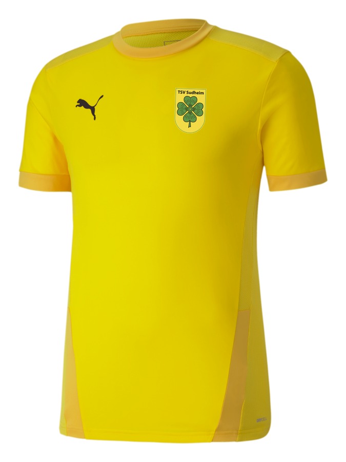 PUMA teamGOAL 23 Trikot