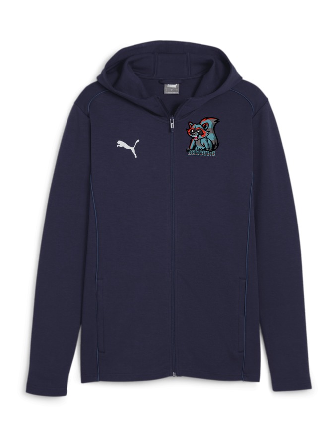 PUMA teamFINAL Casuals Kapuzenjacke