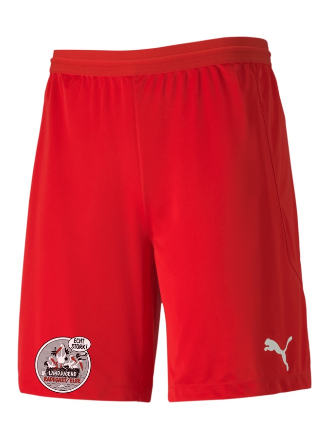 PUMA teamFINAL 21 Knit Shorts