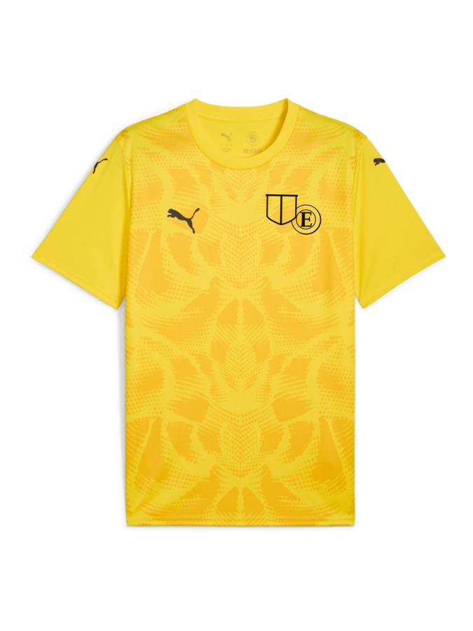 PUMA teamULTIMATE Trikot