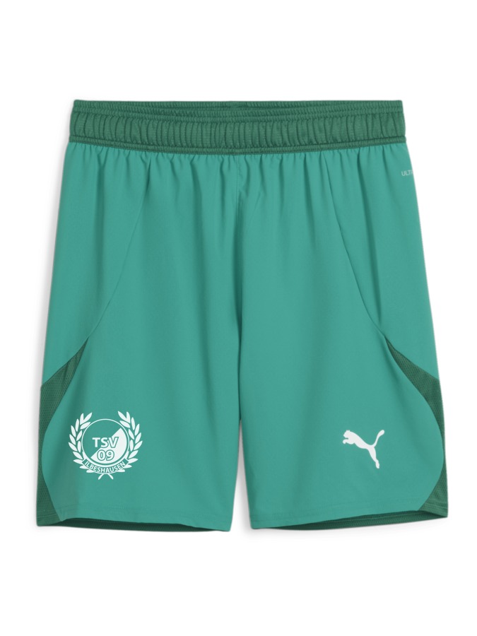 PUMA teamFINAL Shorts