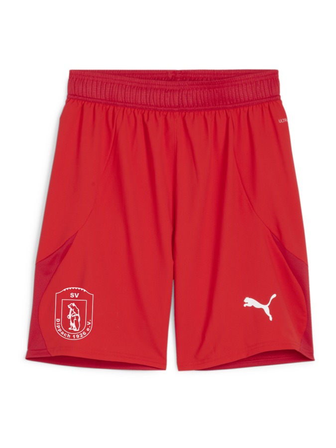 PUMA teamFINAL Shorts