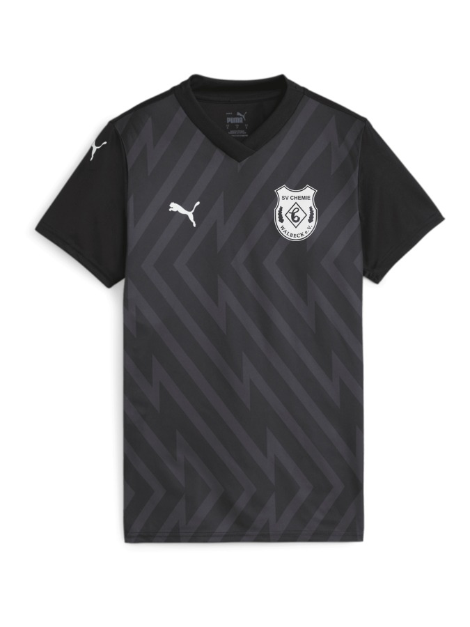 PUMA teamGLORY Trikot Damen
