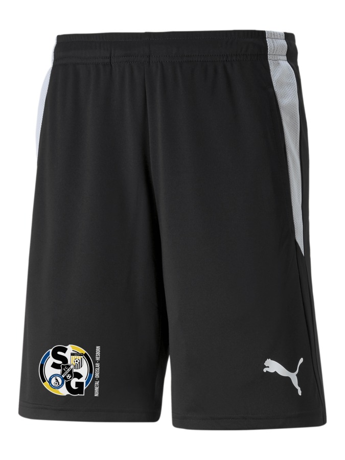 PUMA teamLIGA Referee Shorts