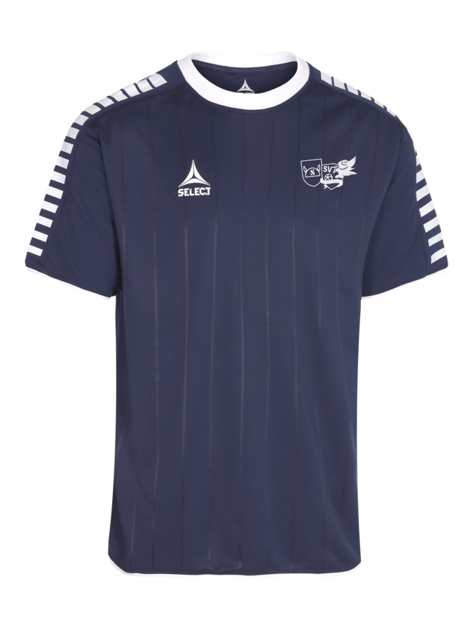 Select Argentina Trikot