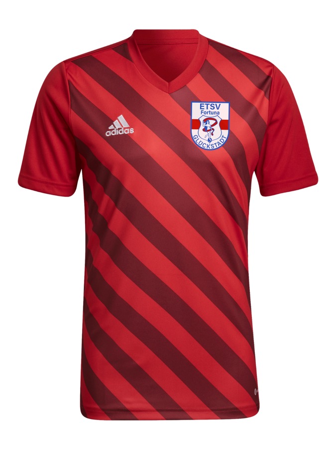 adidas Entrada 22 GFX Trikot