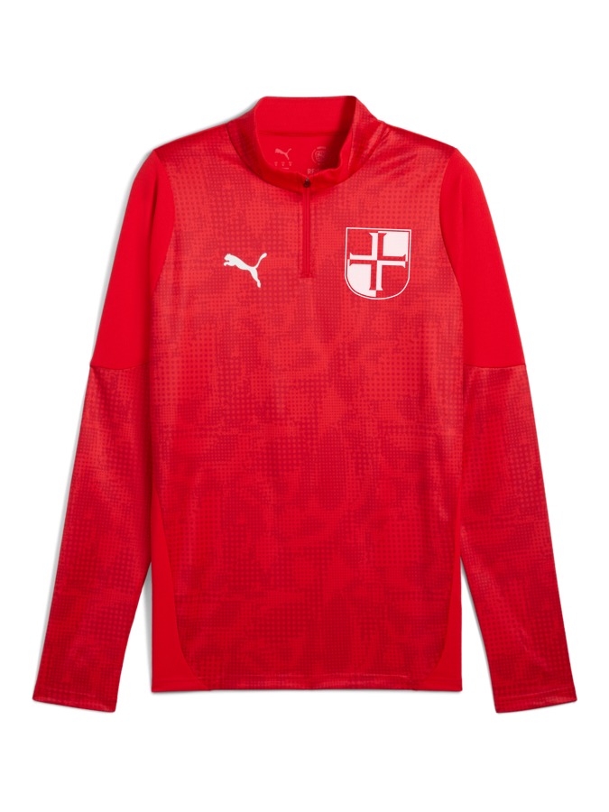 PUMA teamCUP Training 1/4-Zip-Top