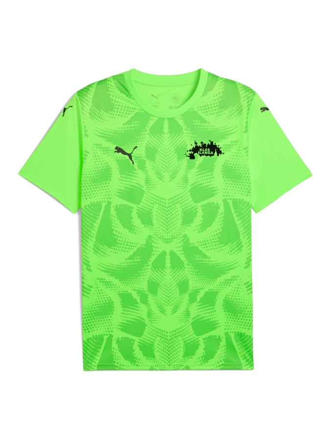 PUMA teamULTIMATE Trikot