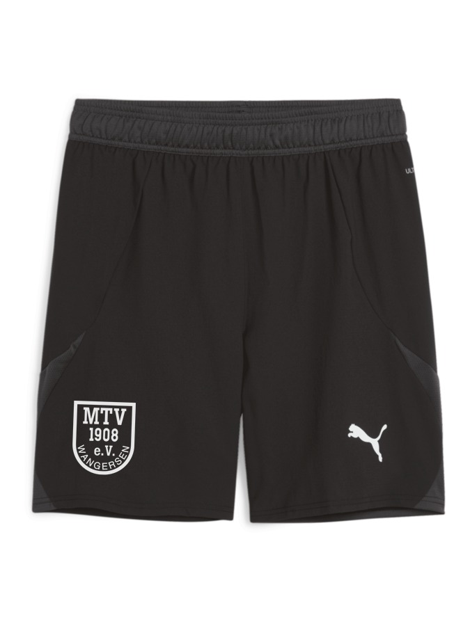 PUMA teamFINAL Shorts