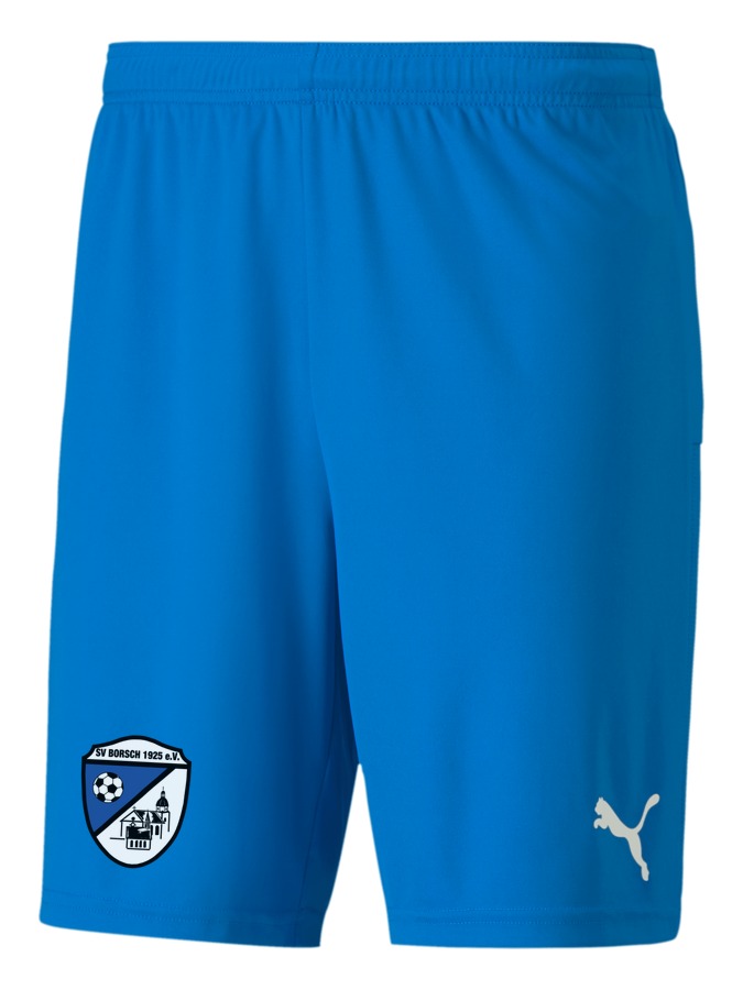 PUMA teamGOAL 23 Knit Shorts
