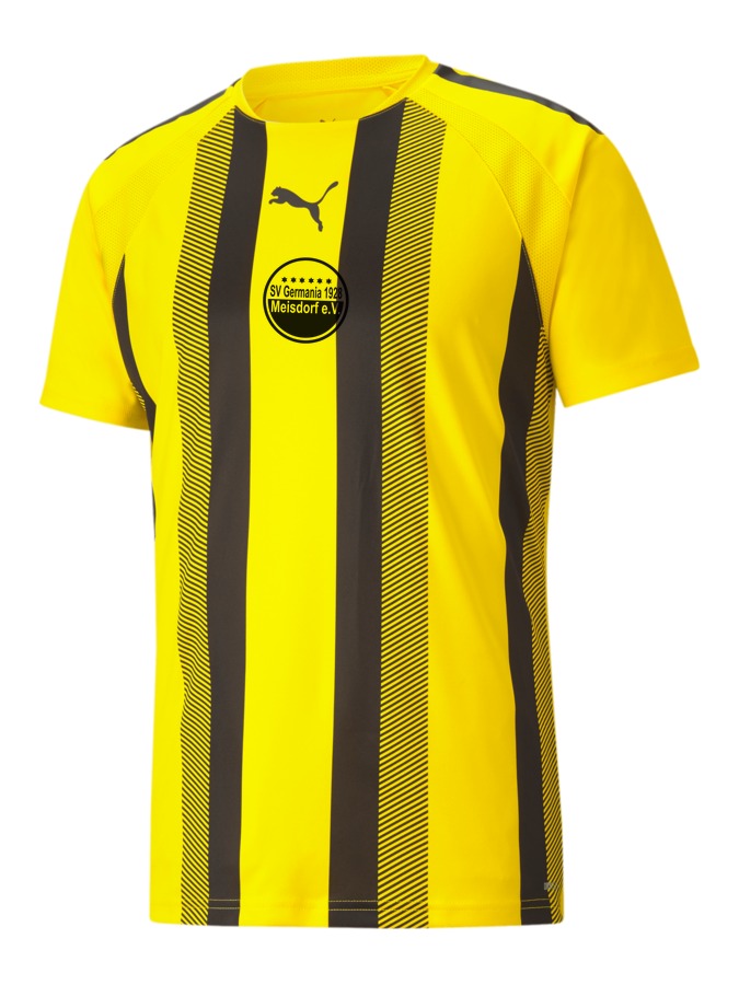 PUMA teamLIGA Striped Trikot