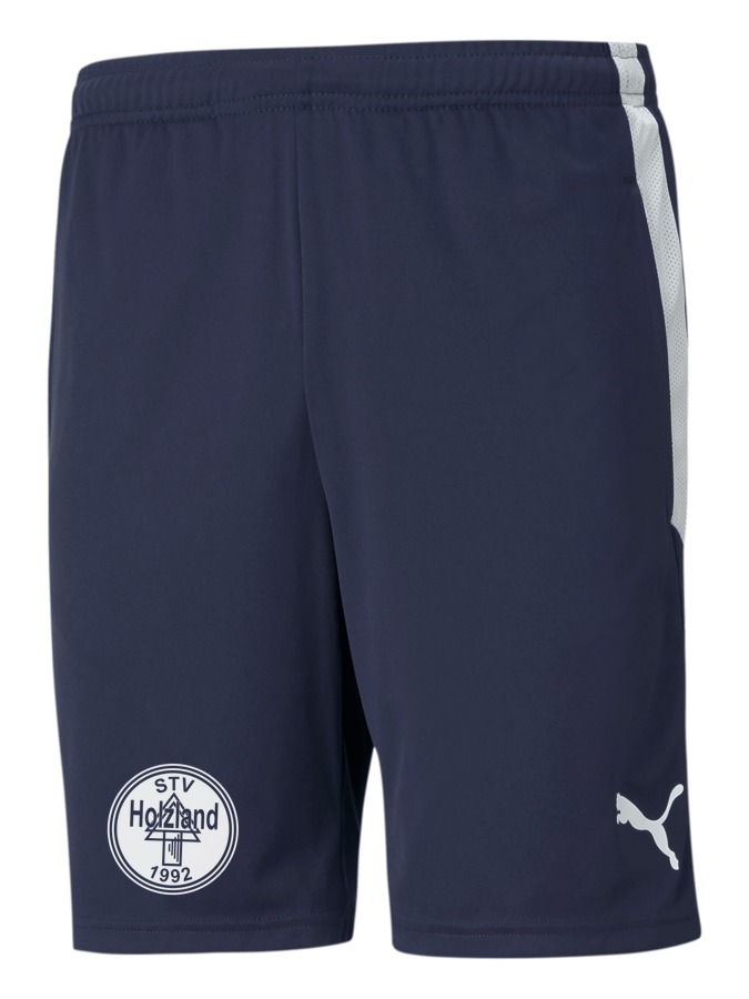 PUMA teamLIGA Training Shorts