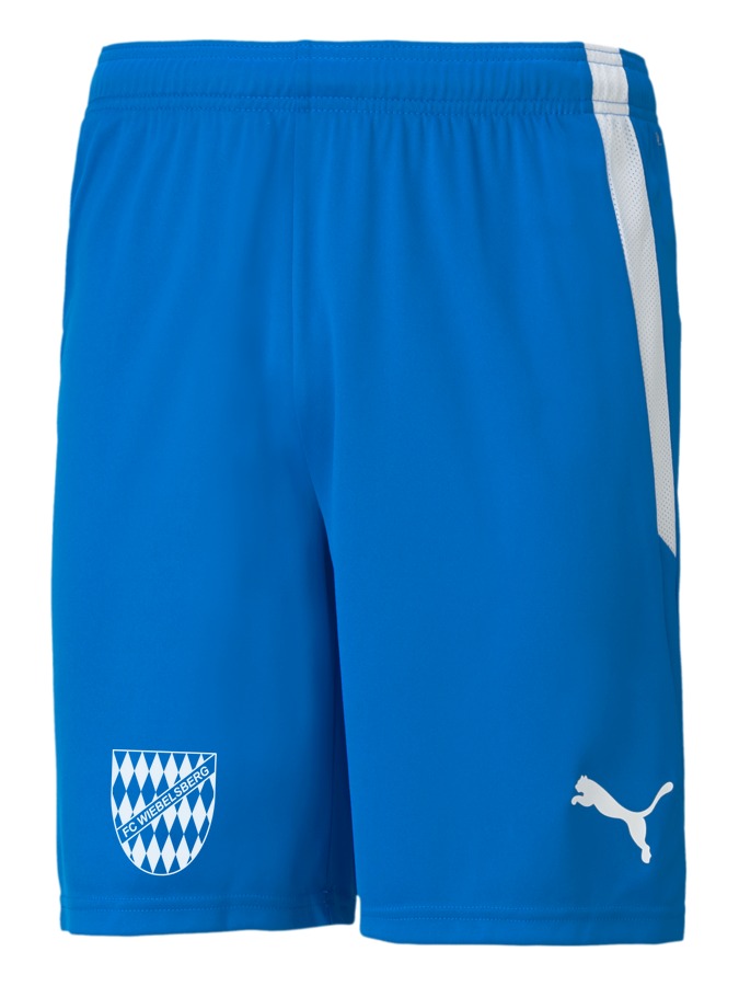 PUMA teamLIGA Shorts