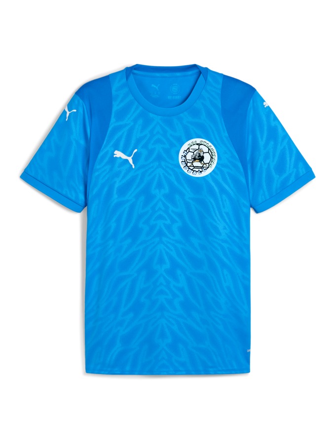 PUMA teamCUP Trikot