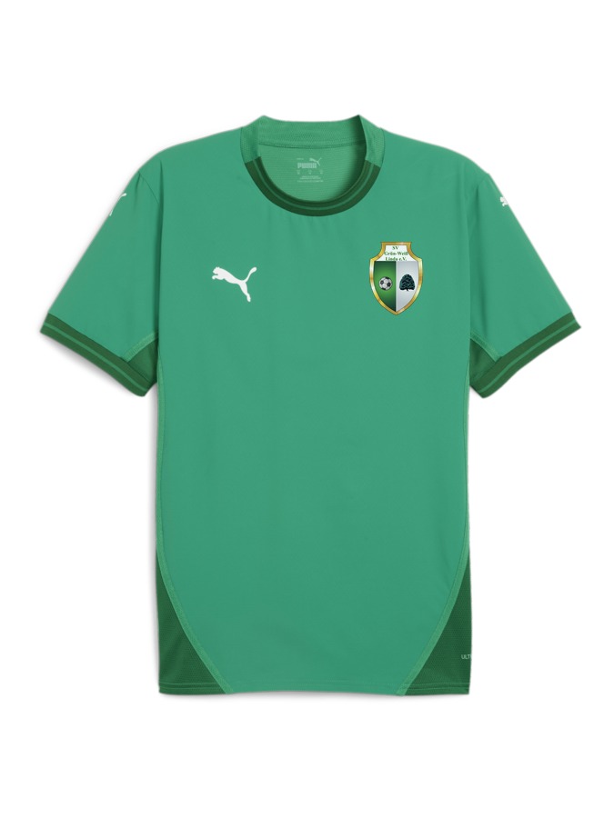 PUMA teamFINAL Trikot