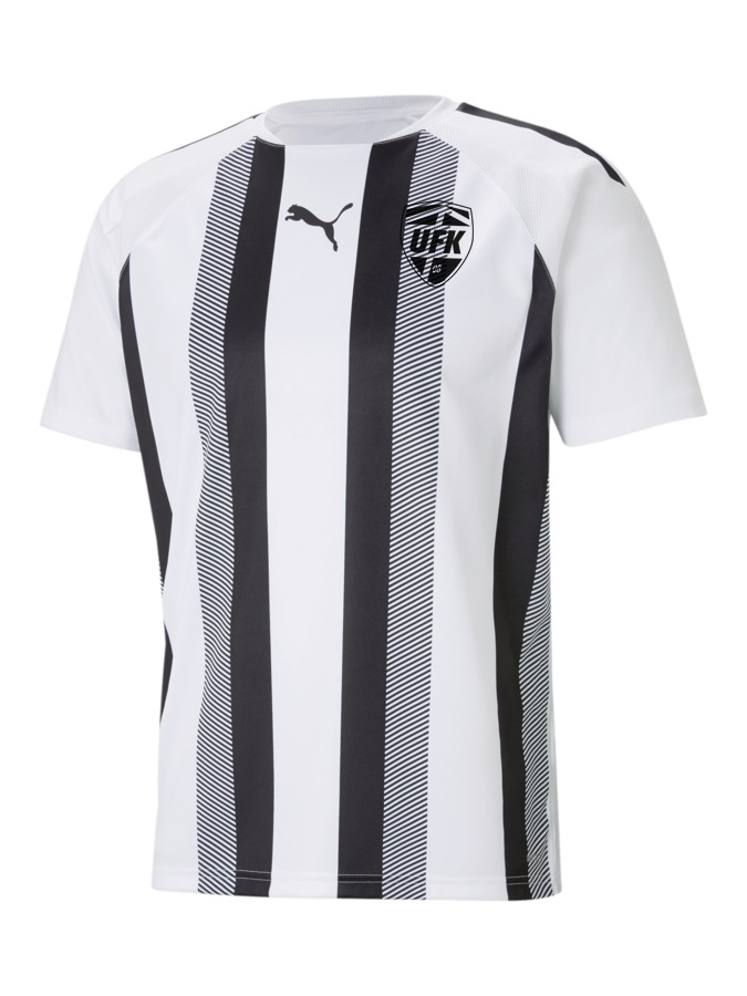 PUMA teamLIGA Striped Trikot