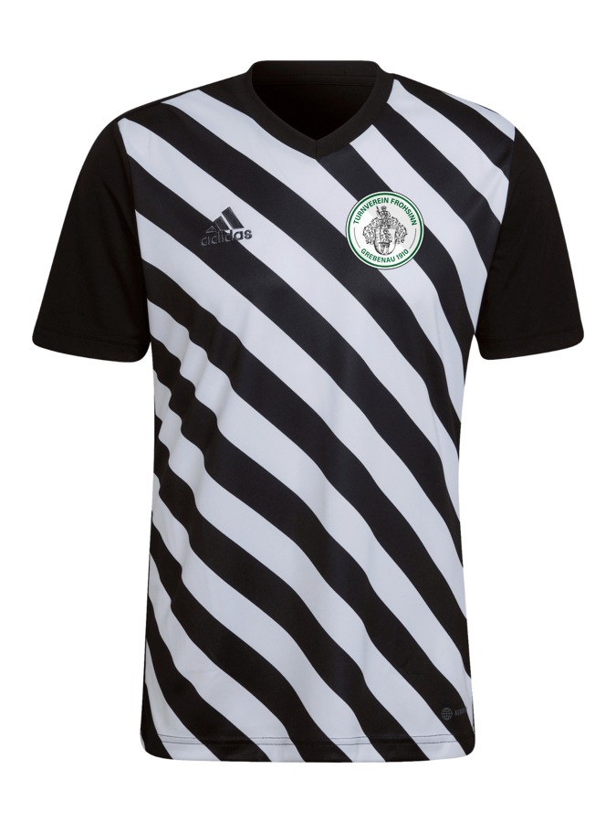 adidas Entrada 22 GFX Trikot