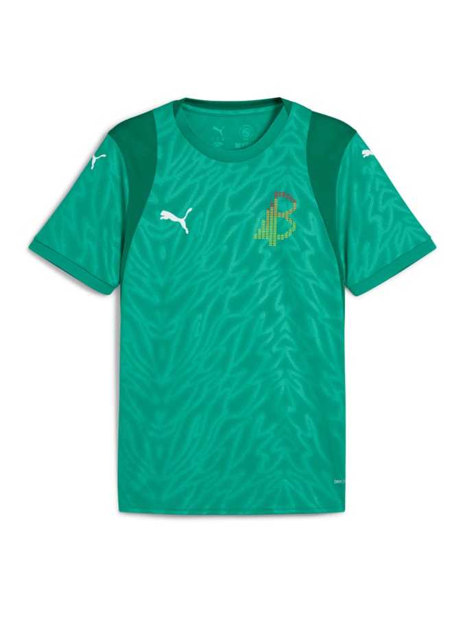 PUMA teamCUP Trikot