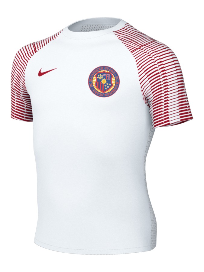 Nike Academy 22 Trikot Kinder