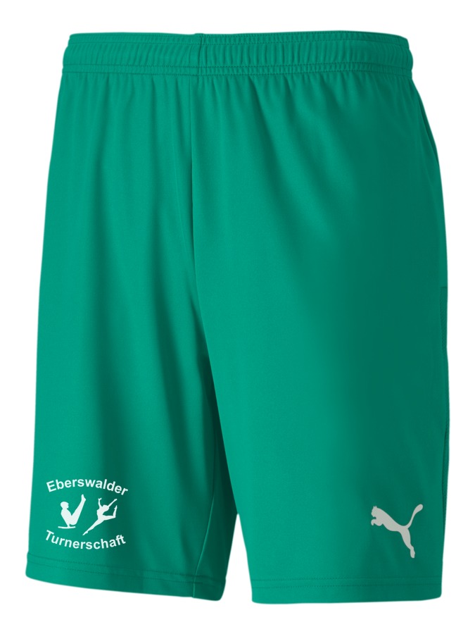 PUMA teamGOAL 23 Knit Shorts