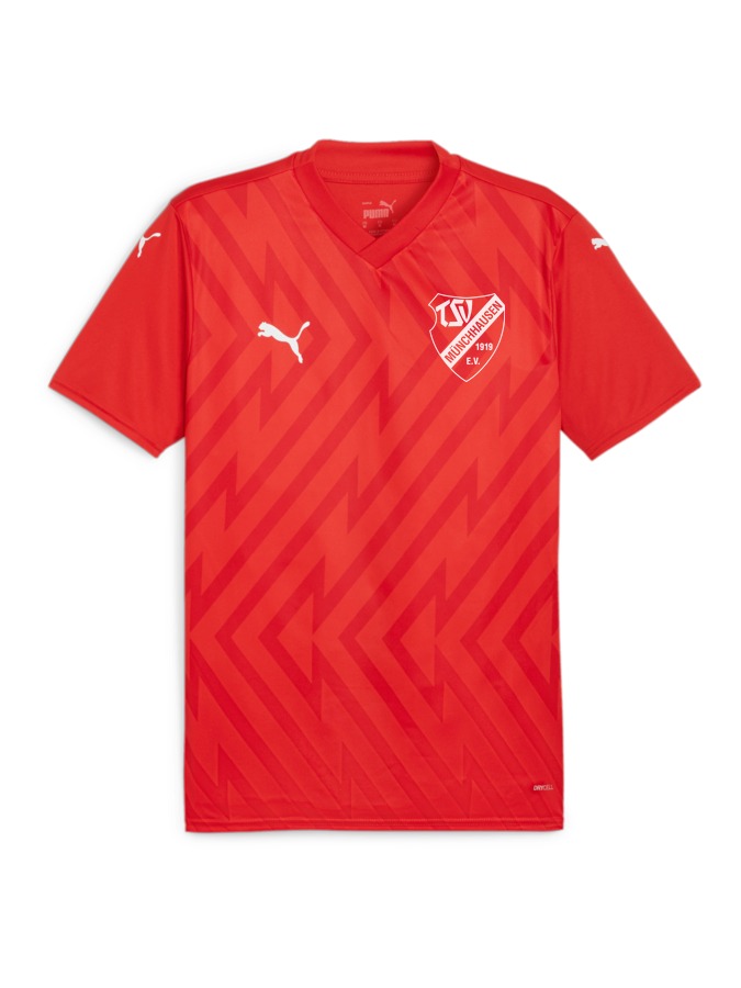 PUMA teamGLORY Trikot