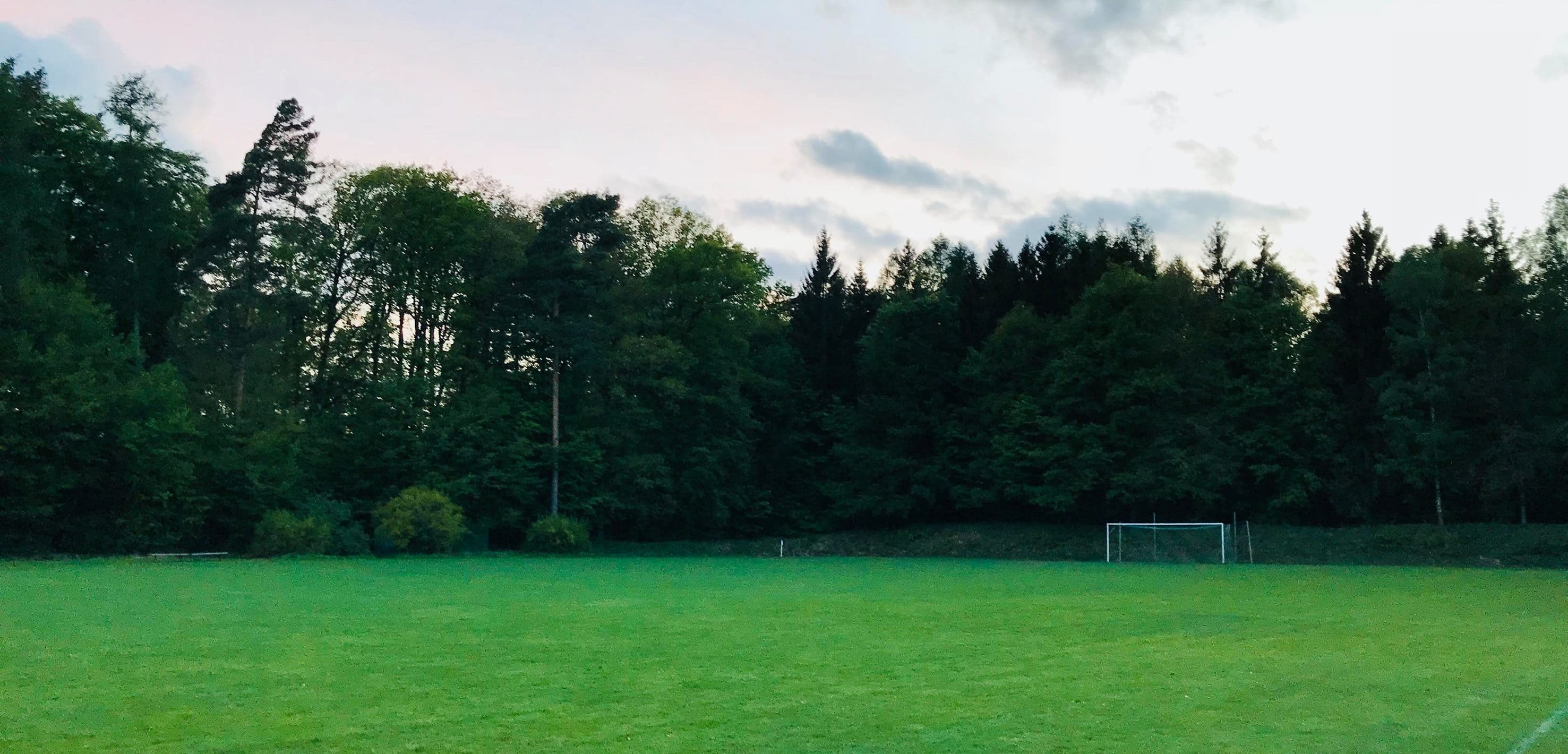 Individuelles Vereinsbild