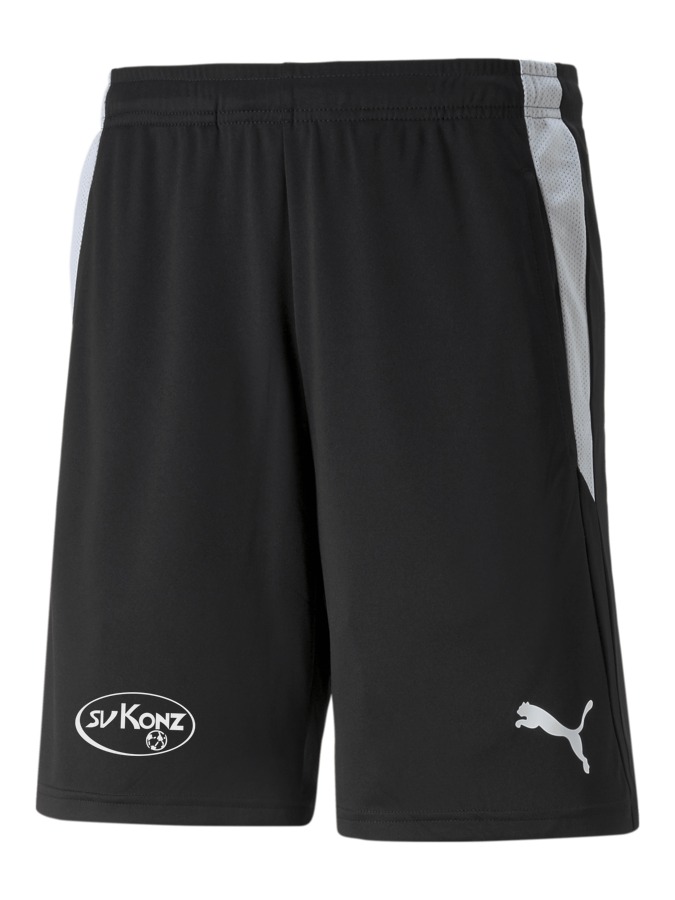 PUMA teamLIGA Referee Shorts