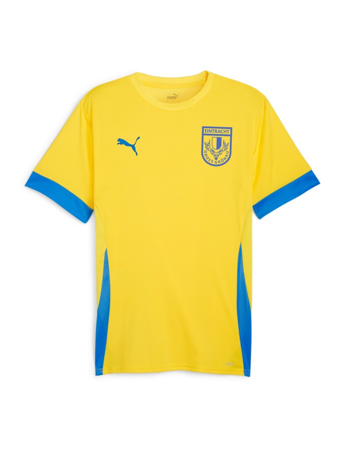 PUMA teamGOAL Matchday Trikot