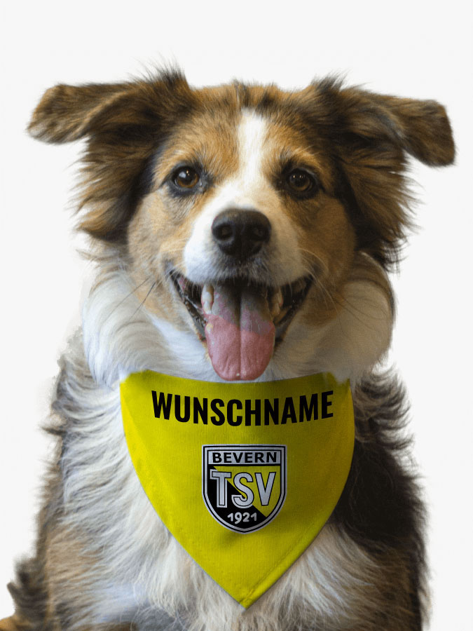 Hundehalstuch