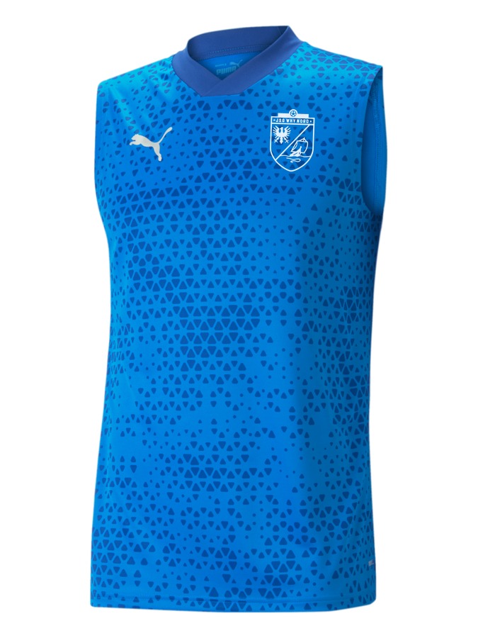 PUMA teamCUP Trainingstanktop